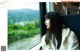 A woman sitting on a train looking out the window.